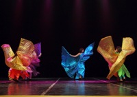 Отчетный концерт школы восточного танца Амира 2015 год и индийские танцы от группы Прия